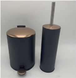 Dustbin with toilet brush