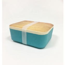 Biodegradable BPA free bamboo fiber lunch box